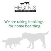 We are taking bookings for home boarding for dogs